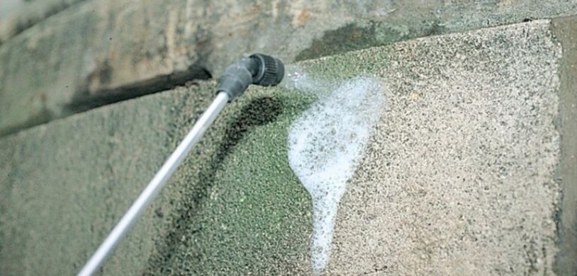 Façade envahie de mousses et algues