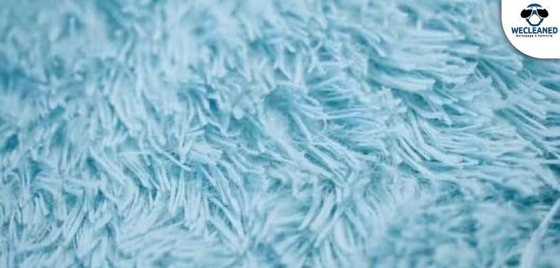 nettoyer tapis poil long