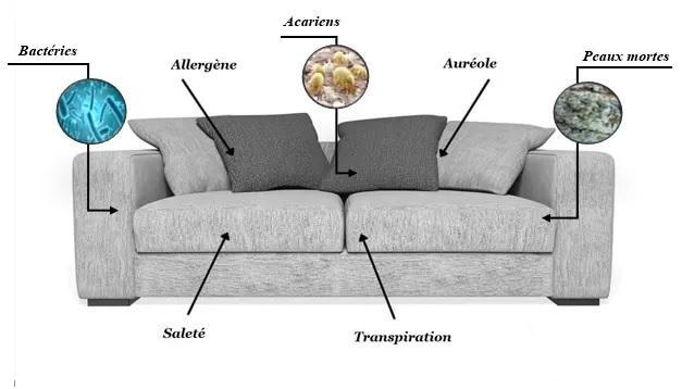 canape-acariens-allergene-bacteries