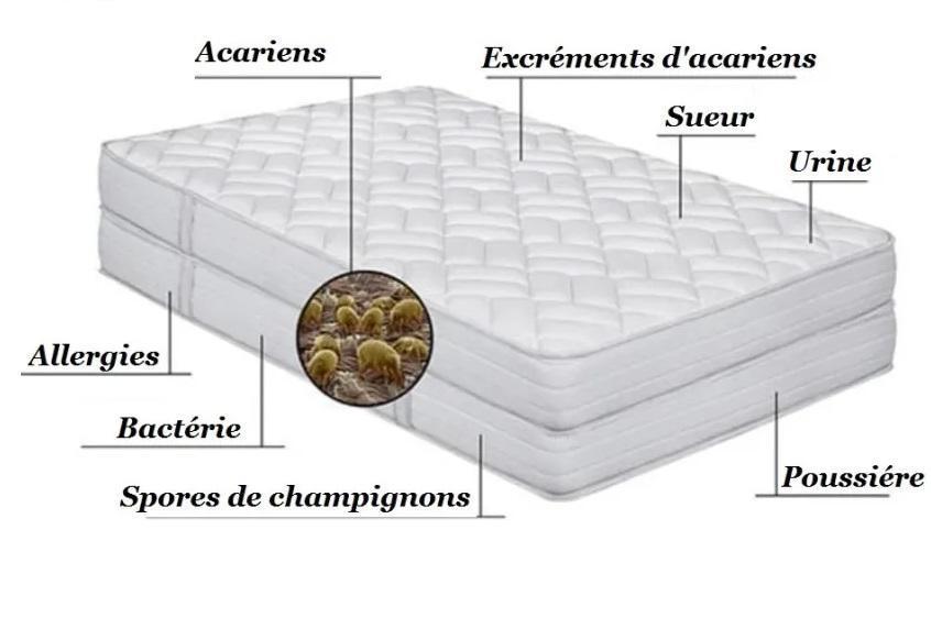 Désinfection matelas - Nettoyage à Domicile