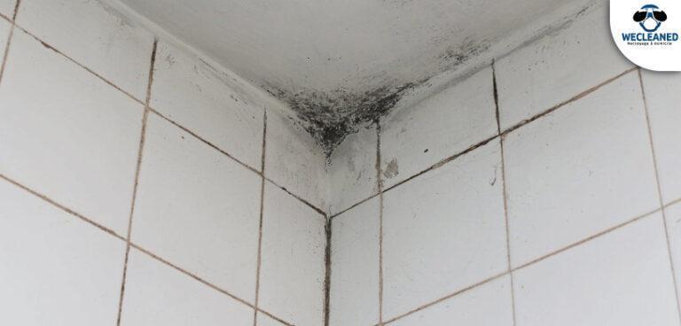 Comment enlever la moisissure au plafond ?