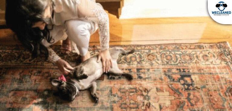 Comment nettoyer un tapis en soie ?