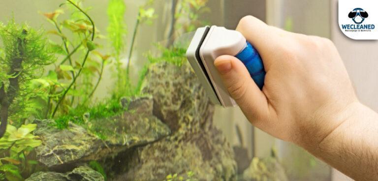 Comment nettoyer votre aquarium ?