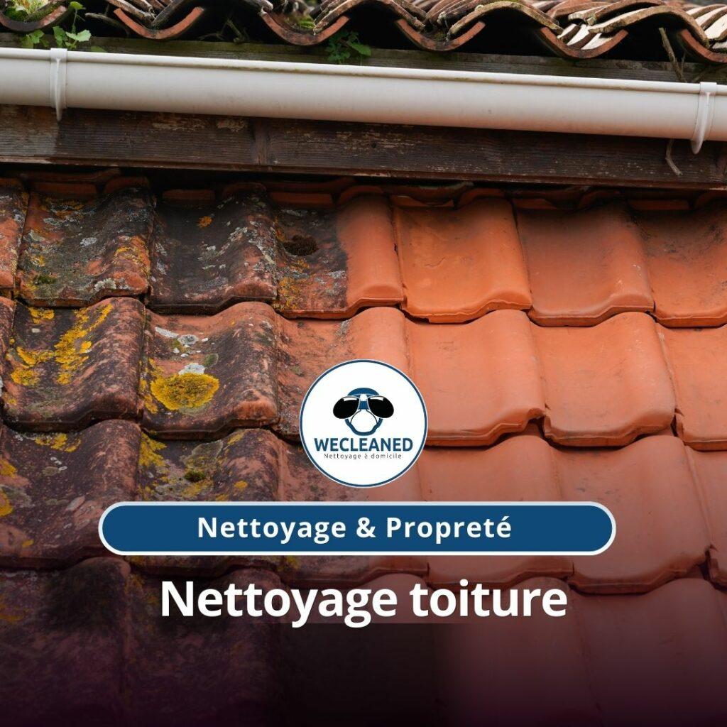 Nettoyage toiture Joinville-le-Pont (94340)
