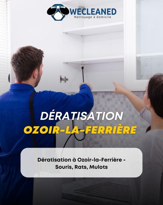 deratisation-Ozoir-la-Ferriere