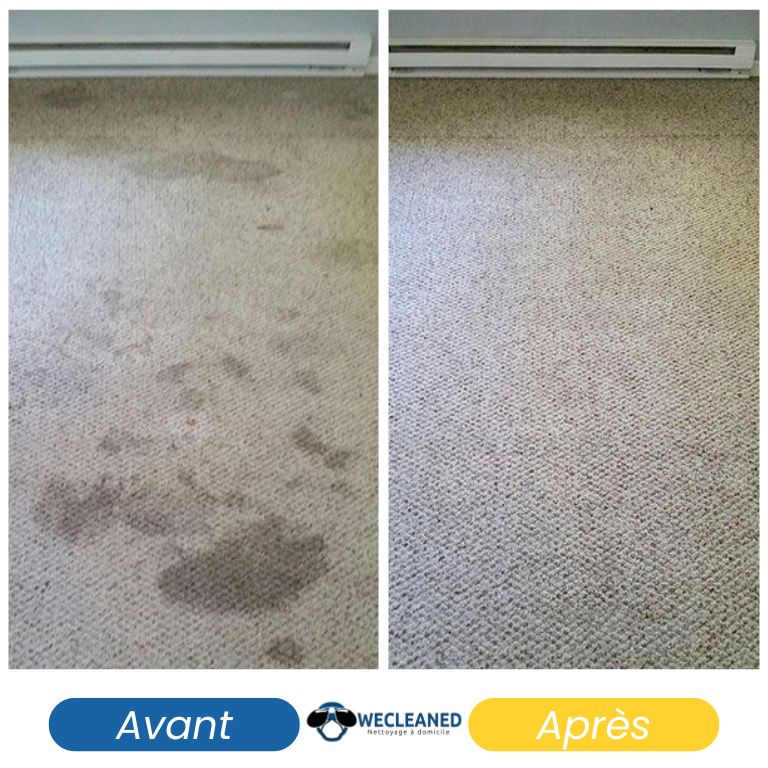 Résultat avant-après du nettoyage de moquette dans un open space en Île-de-France