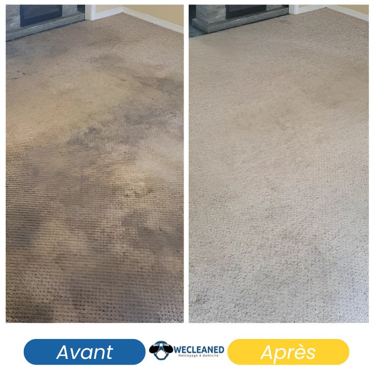 Avant / après nettoyage de moquette très tachée dans un bureau professionnel