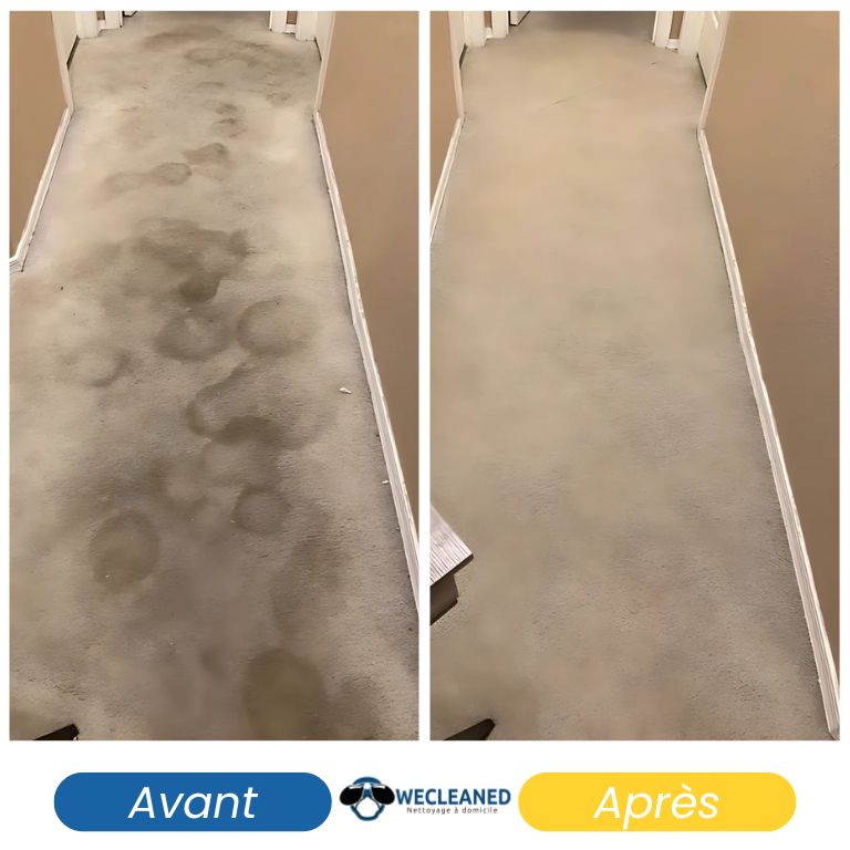 Moquette claire retrouvant sa teinte d’origine après un nettoyage professionnel
