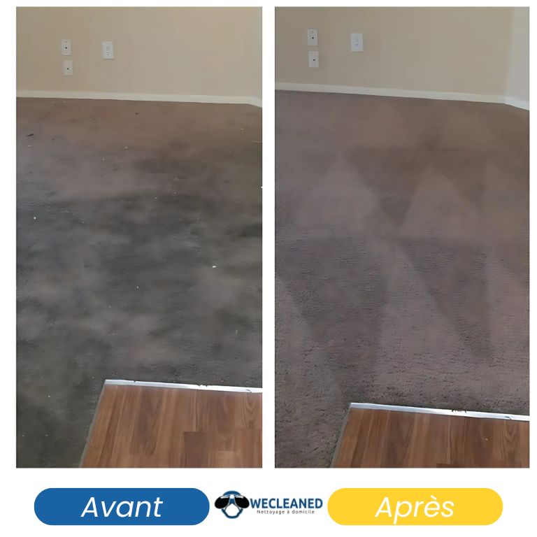 Traitement anti-taches et désinfection complète d’une moquette dans un hôtel