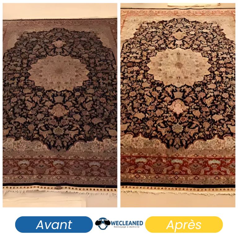 Tapis à poils longs retrouvant son volume et sa propreté.
